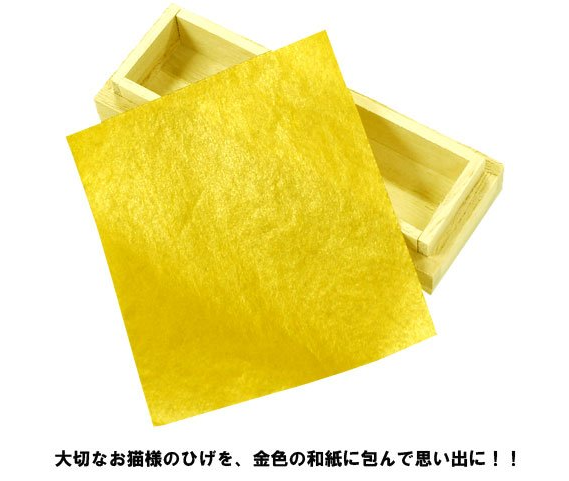 貓奴的終極浪漫表現，木造貓咪鬍鬚收納盒