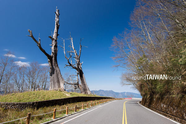 【台灣旅行】老套行程OFF，阿里山不可錯過的隱藏景點分享！