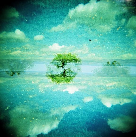【LOMO好時光】六個 Diana F+ 美麗迷人的原因