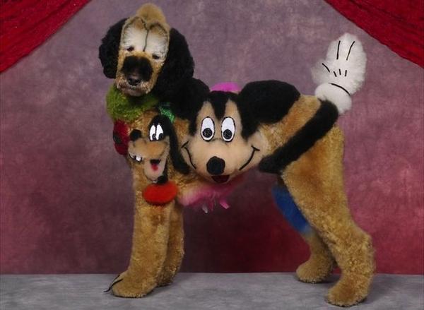 國外的瘋狂狗狗美容秀