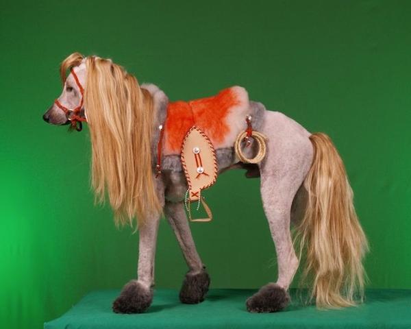 國外的瘋狂狗狗美容秀