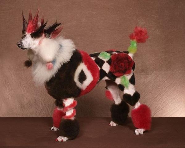 國外的瘋狂狗狗美容秀