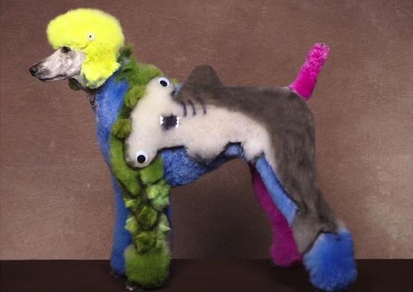 國外的瘋狂狗狗美容秀