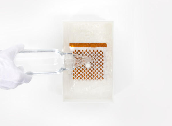 Drinkable Book 讓汙水變清水的神奇魔法書