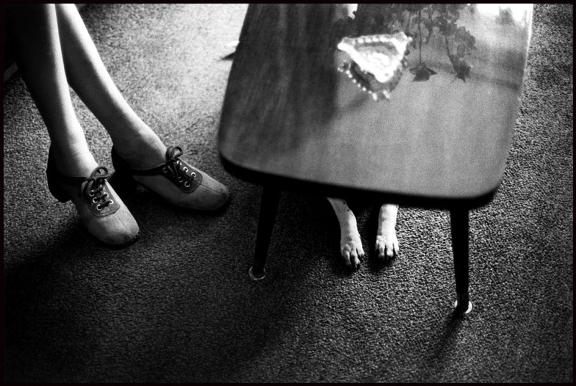 攝影大師教我們的事：Elliott Erwitt