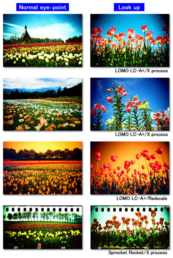 【LOMO 好時光】角度一變，世界大不同 