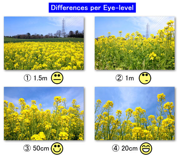 【LOMO 好時光】角度一變，世界大不同 