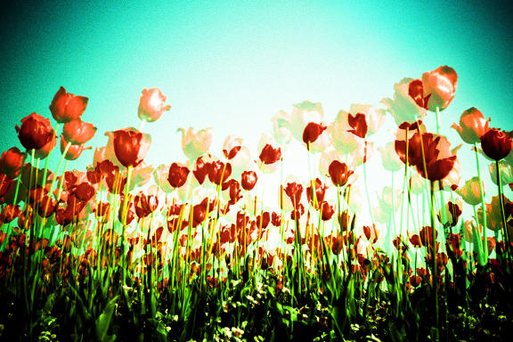 【LOMO 好時光】角度一變，世界大不同 