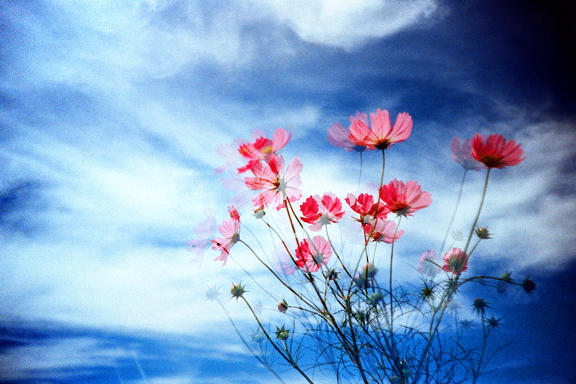 【LOMO 好時光】角度一變，世界大不同 