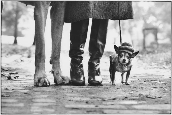 攝影迷不可錯過的新天堂── 香港首間攝影博物館F11於9月中成立！