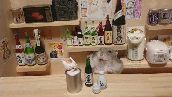萌神食堂開張！小倉鼠與居酒屋模型的完美組合