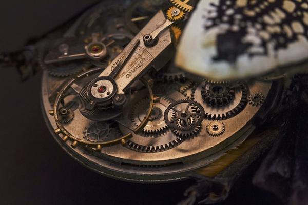 模擬未來機械生物體的昆蟲創作