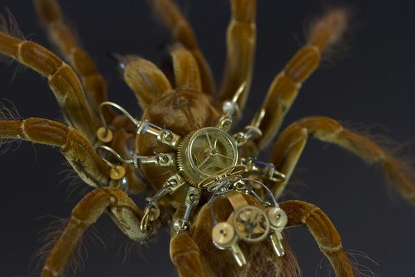 模擬未來機械生物體的昆蟲創作