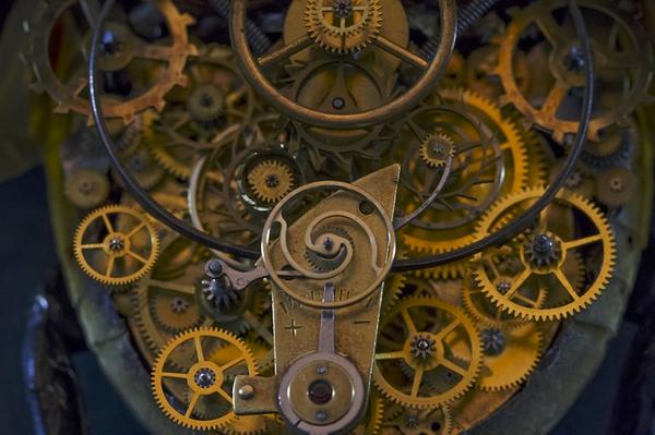 模擬未來機械生物體的昆蟲創作