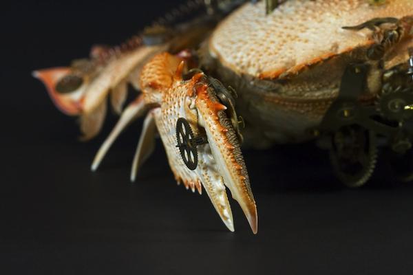 模擬未來機械生物體的昆蟲創作