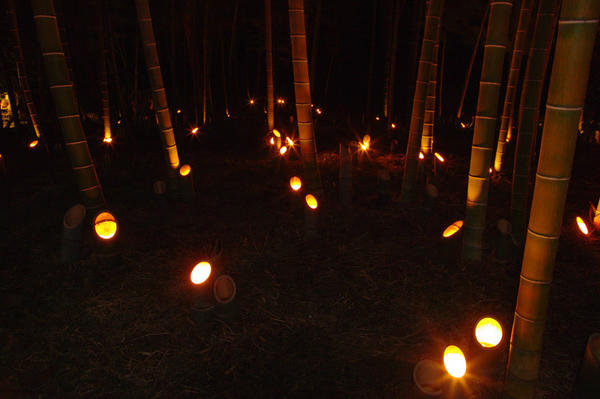 【日本奇遇ing】日本中秋之不可思議事件簿