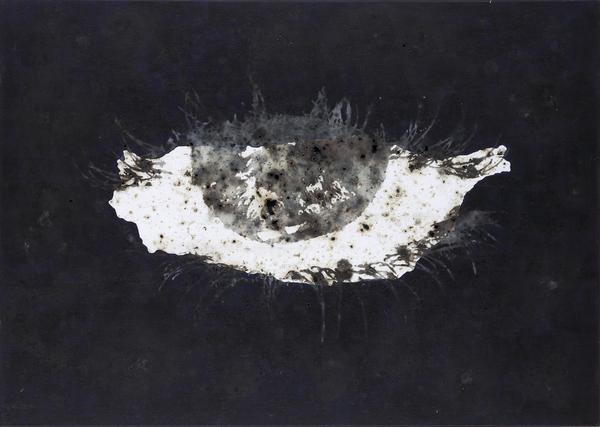 【展覽情報】《火光中的回眸》，爆竹聲響後的華麗軌跡