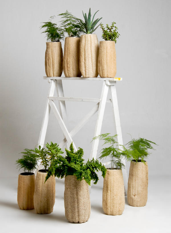 解放老東西的藝術之魂!絲瓜絡大變身