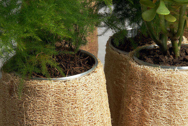 解放老東西的藝術之魂!絲瓜絡大變身