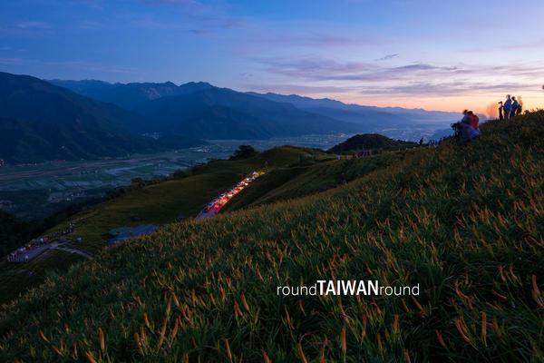 【台灣旅行】賞花去，好吃(?)又美麗的金針花之行