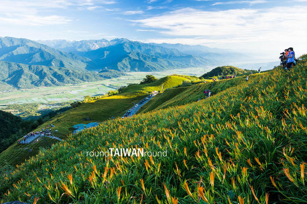 【台灣旅行】賞花去，好吃(?)又美麗的金針花之行