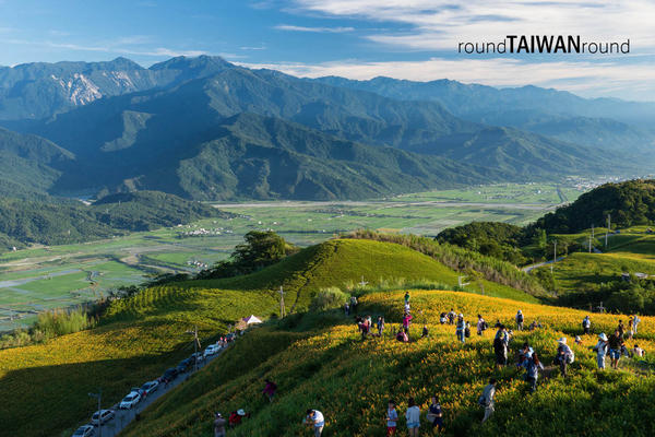 【台灣旅行】賞花去，好吃(?)又美麗的金針花之行