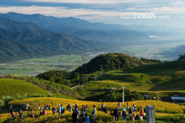 【台灣旅行】賞花去，好吃(?)又美麗的金針花之行
