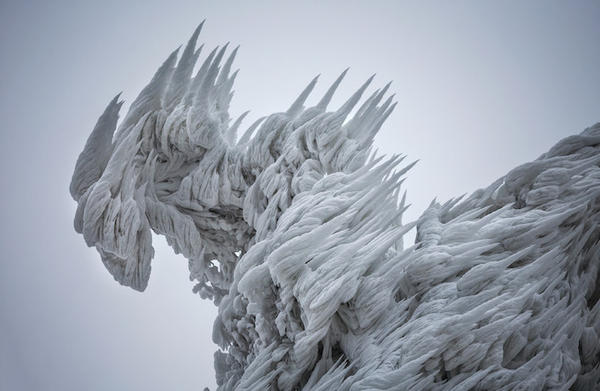 忘了冰雪奇緣吧，這才是冰天雪地真正的模樣！