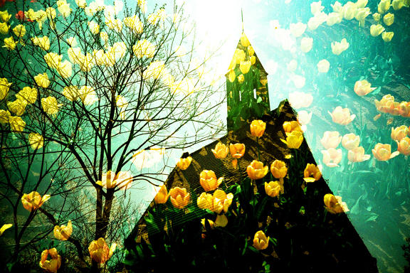 【LOMO好時光】花花世界的重曝技巧！