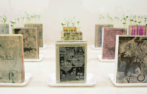 以舊書為土壤，打造文字花園！