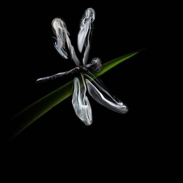 看見火柴不同樣貌的獨特攝影創作