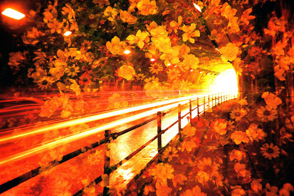 【Lomo好時光】獵攝夢幻夜景