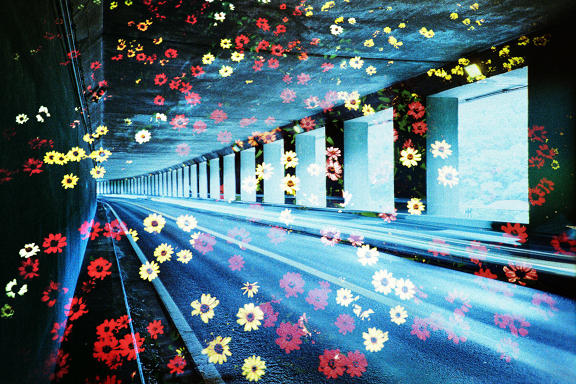 【Lomo好時光】獵攝夢幻夜景