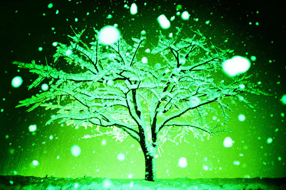 【Lomo好時光】獵攝夢幻夜景