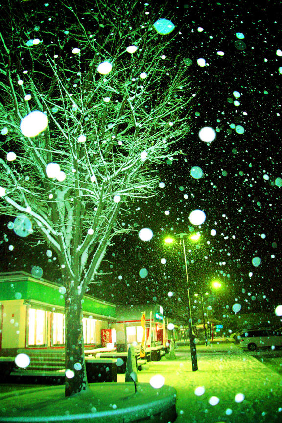 【Lomo好時光】獵攝夢幻夜景