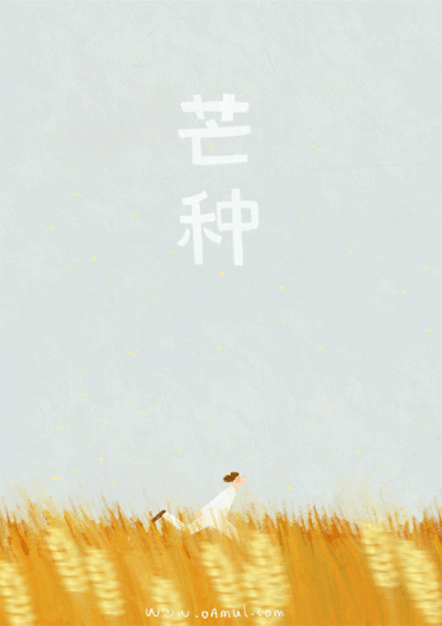 Oamul Lu 「繪」動的24節氣們