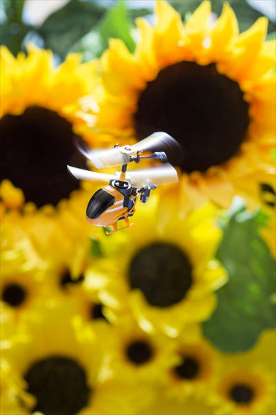 一小還有一小小,姆指尺寸遙控直昇機