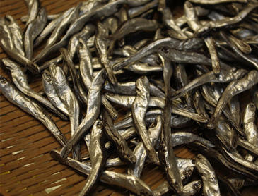 食物系設計品又來了，小魚乾筷架！