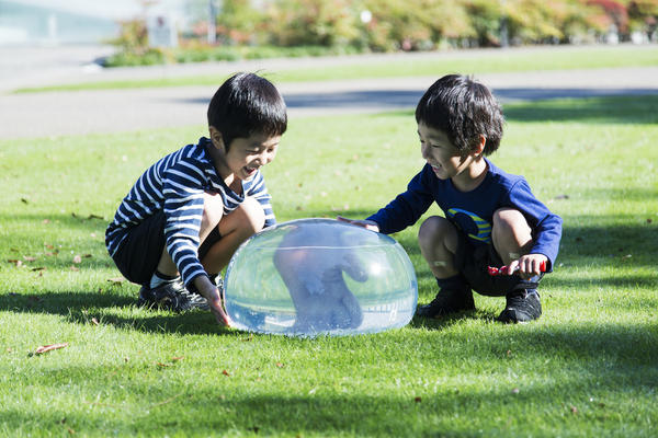 草地上的晶瑩淚滴-TEAR DPOP CHAIR淚滴椅