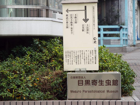 世界唯一的蟲蟲大本營,日本目黑寄生蟲博物館