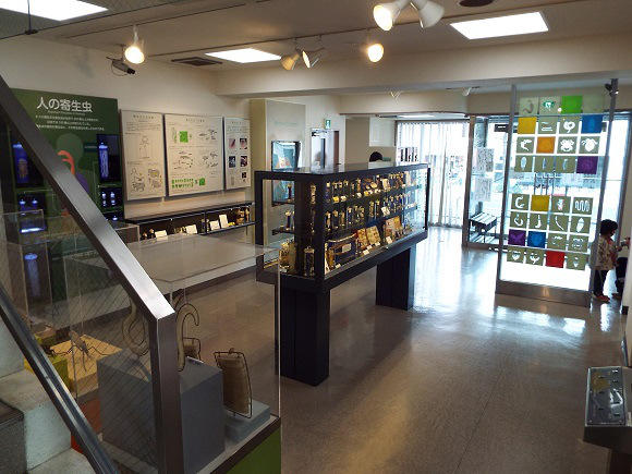 世界唯一的蟲蟲大本營,日本目黑寄生蟲博物館