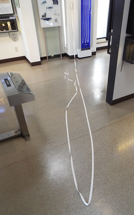 世界唯一的蟲蟲大本營,日本目黑寄生蟲博物館