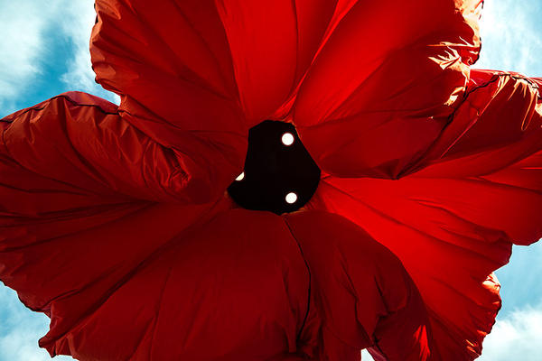 路燈界裡的佛朗明哥女郎，互動式街角大紅花燈 warde