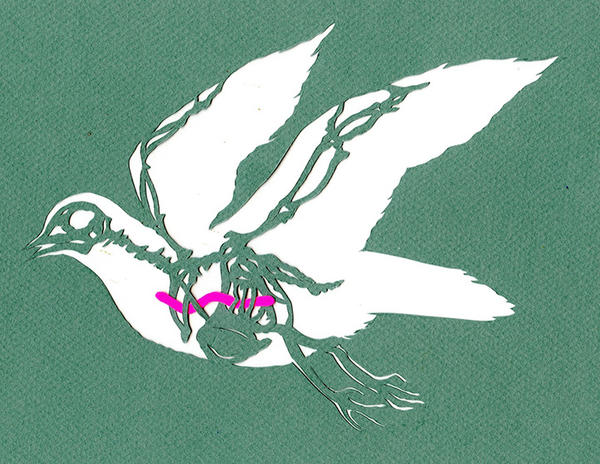 透視小動物們飲食喜好的 X 光紙雕