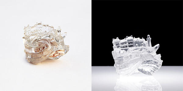 3D 列印的寄居蟹殼，怎麼突然有點羨慕......