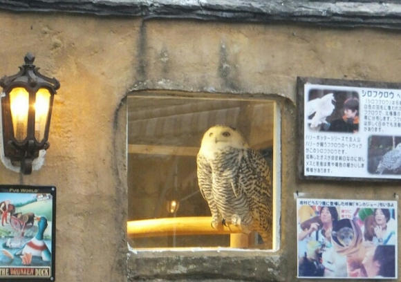 在英國小鎮遇見吉卜力【琪琪麵包店】！