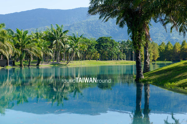 【台灣旅行】賞花去，好吃(?)又美麗的金針花之行