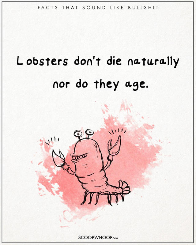 原來有這種事！22 個聽起來很扯的有趣事實