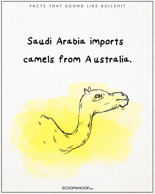 原來有這種事！22 個聽起來很扯的有趣事實