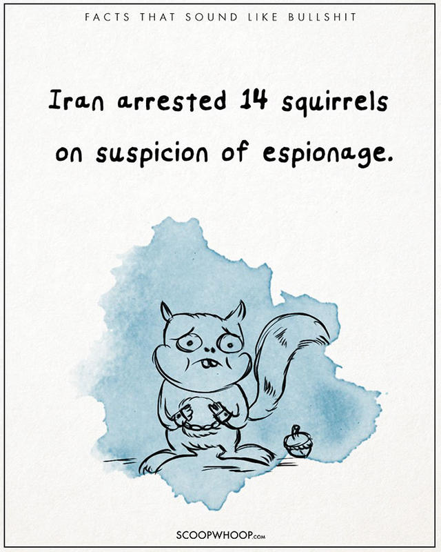 原來有這種事！22 個聽起來很扯的有趣事實